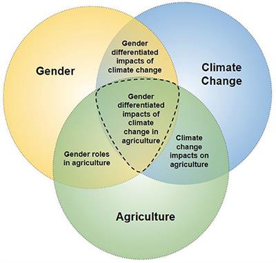 Frontiers | Gender Integration In Climate Change And Agricultural ...